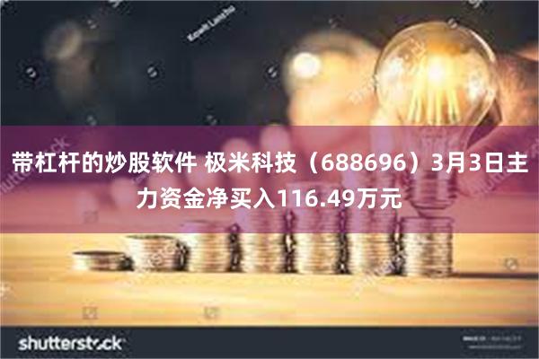 带杠杆的炒股软件 极米科技（688696）3月3日主力资金净买入116.49万元