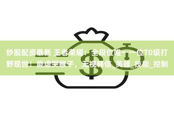 炒股配资最新 王者荣耀：全段位唯一一位T0级打野现世！能虐哭猴子，无视韩信_英雄_技能_控制